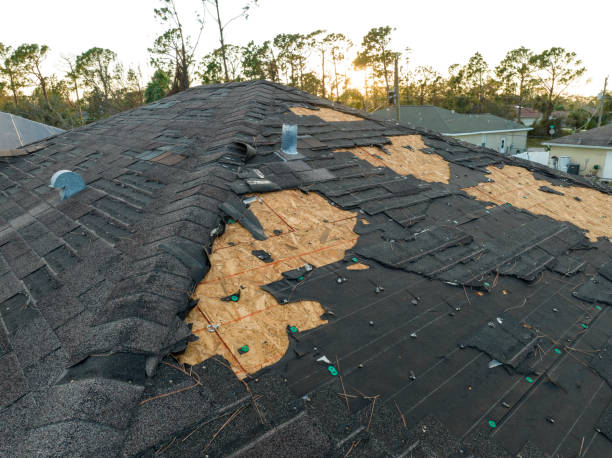 Best Roof Ventilation Installation  in Butte, MT