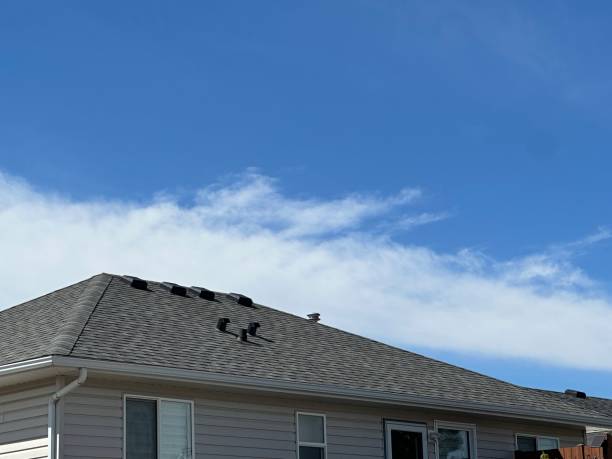 Fast & Reliable Emergency Roof Repairs in Butte, MT